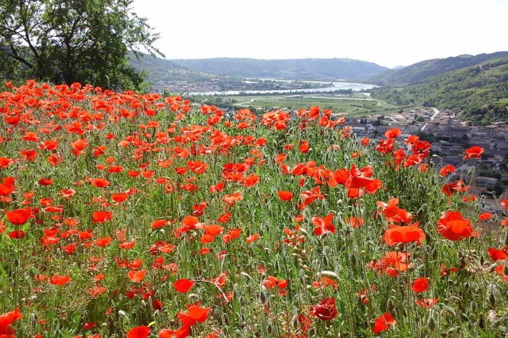 Gites De Revirand Sarras Esterno foto