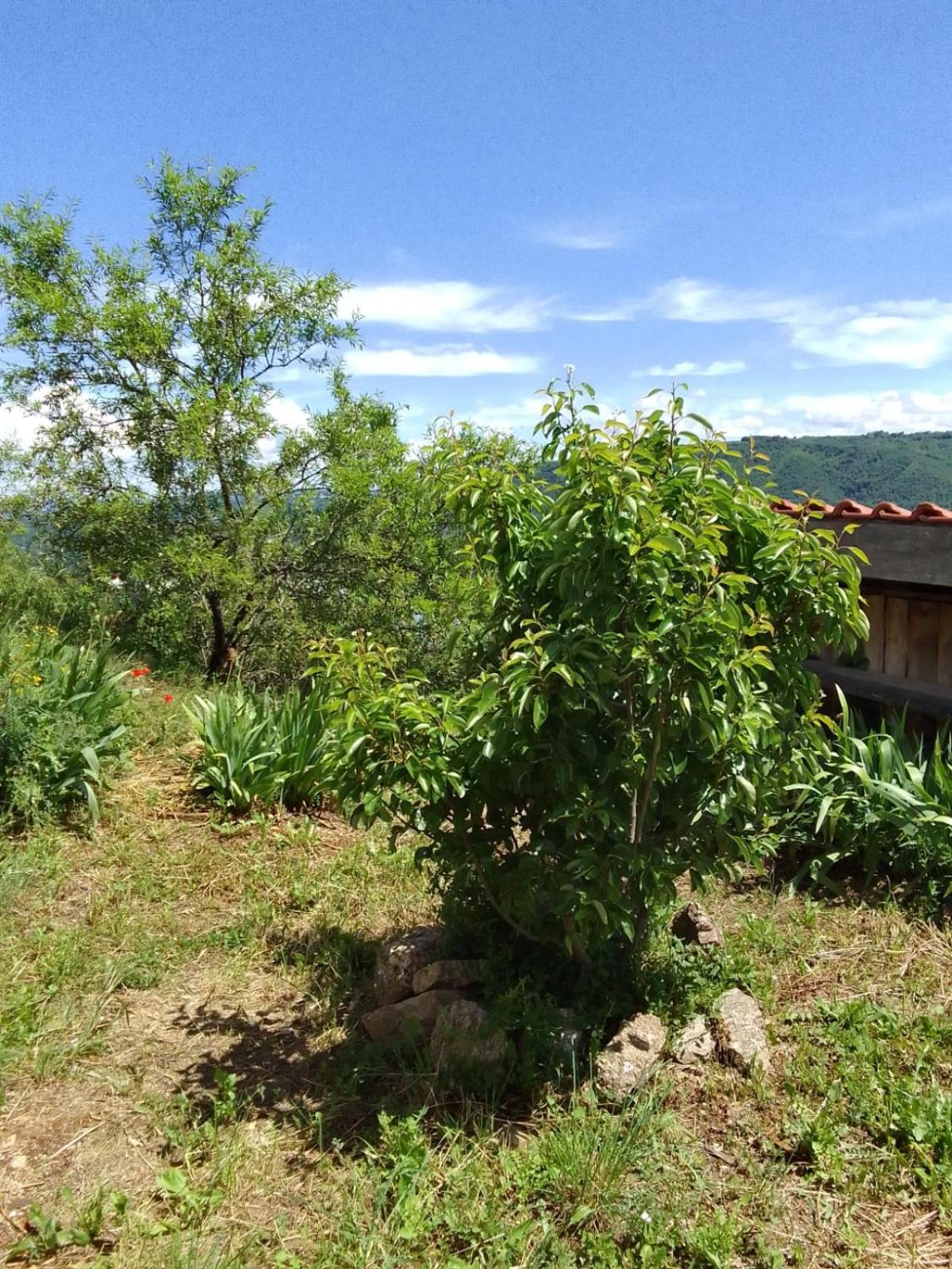 Gites De Revirand Sarras Esterno foto