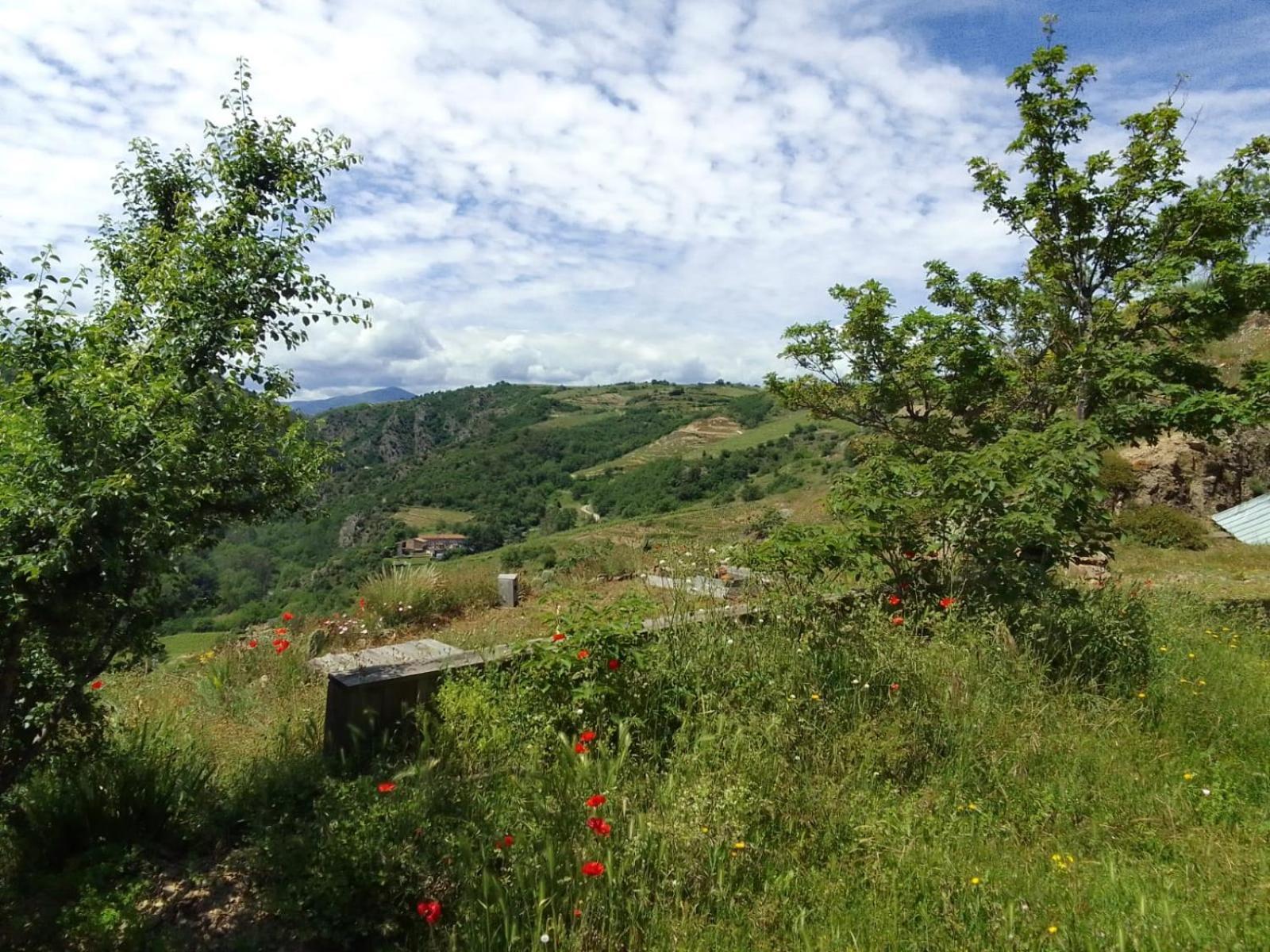 Gites De Revirand Sarras Esterno foto